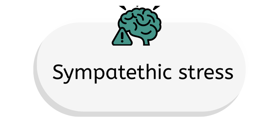 Stres simpatik